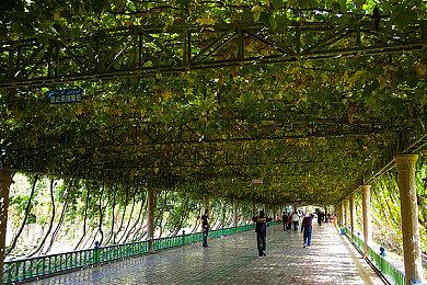 《暗影火炬城》免费试玩版现已在Steam上线